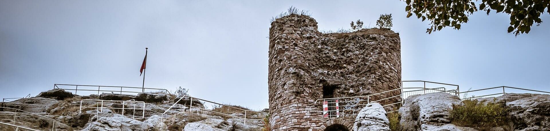 Burg und Festung Regenstein mit Hund