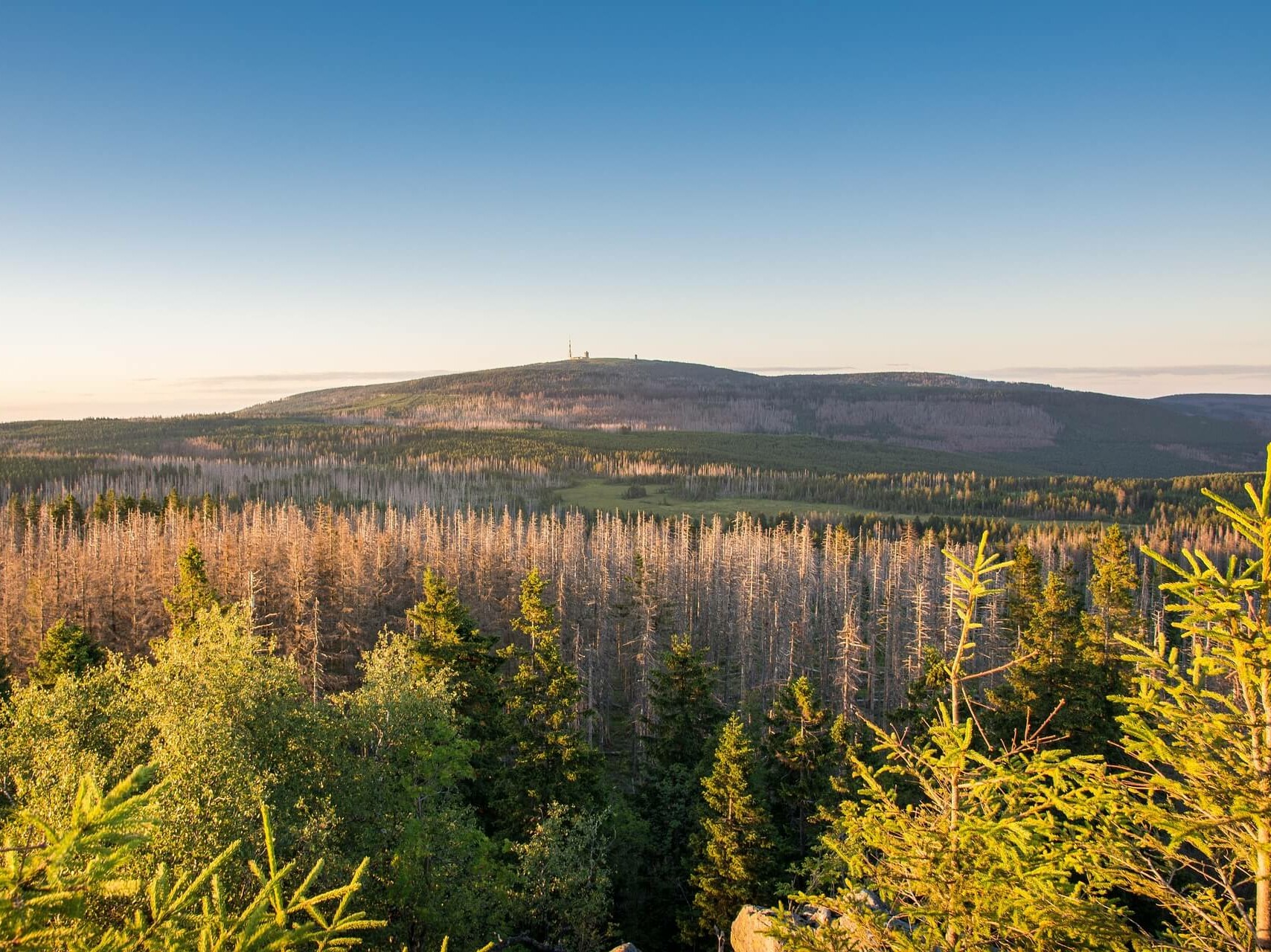 Brocken im Harz mit Hund