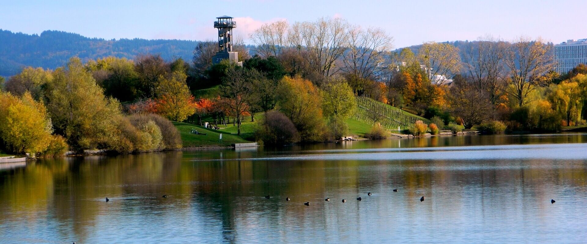 Seepark Freiburg mit Hund