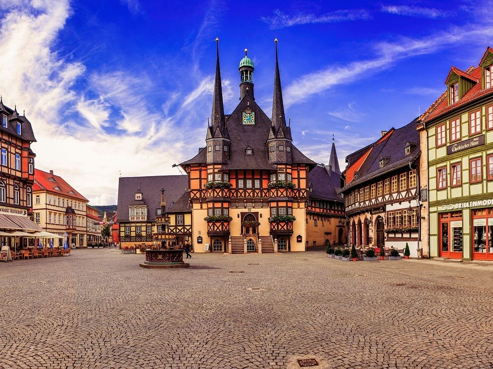 Wernigerode mit Hund