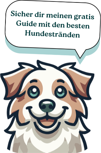 Fynn